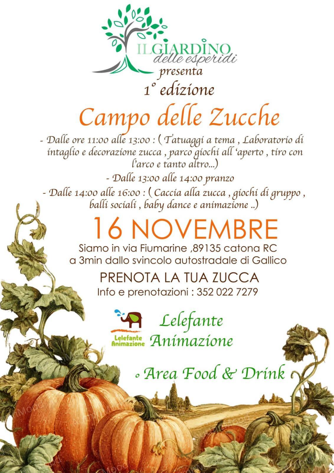 Al momento stai visualizzando Campo delle Zucche